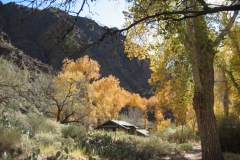 Phantom-Ranch-4