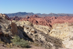 Red-Rock-Canyon-National-Conservation-Area-12