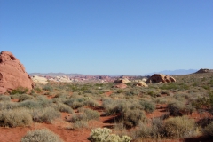 Red-Rock-Canyon-National-Conservation-Area-3