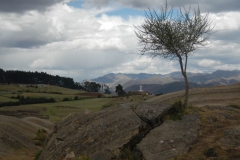 Saksaywaman-2014-34