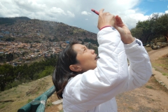 Saksaywaman-2014-8