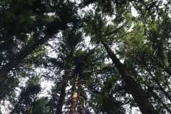 Seattle-Portland-LA-2013-20