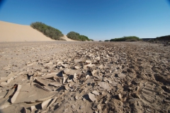 Skeleton-Coast-11