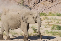 Skeleton-Coast-45