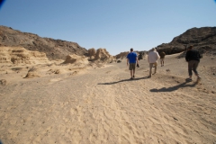 Skeleton-Coast-63