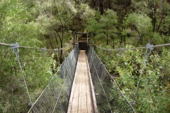 Australia-2006-8