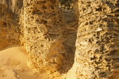 The-Pinnacles-Desert-2010-13