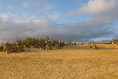 The-Pinnacles-Desert-2010-15