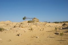 The-Pinnacles-Desert-2010-49