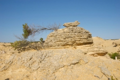 The-Pinnacles-Desert-2010-50