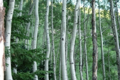 Vale-Colorado-2006-12