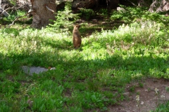 Vale-Colorado-2006-5