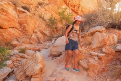 Valley-of-Fire-Nevada-2015-7
