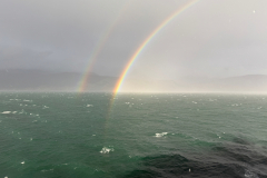 From-The-Ship-2026-b-3