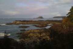 Victoria-Tofino-Seatle-2008-10