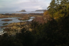 Victoria-Tofino-Seatle-2008-11
