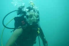 Vieques-2012-5