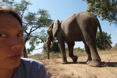 Vundu-Camp-Mana-Pools-13