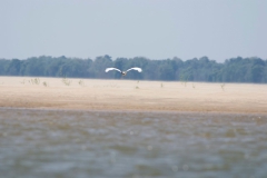Vundu-Camp-Mana-Pools-77
