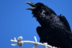 02199F73-373A-414C-802A-FFD62190B055-scaled