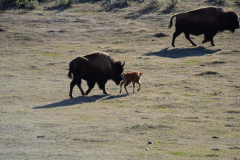 1E03C755-DE73-41B3-A1FF-B479E2E2707A-scaled