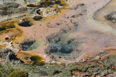 3D309463-B138-49C8-9C5E-5A9AB9716C9F-scaled