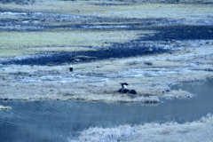 4757BA93-D80D-44D2-AE7D-6F3B2A5BBC47_1_201_a-scaled