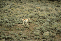 671BE7B7-A855-474A-96D8-D59941BA81D8-scaled