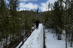 678A56C6-1A74-46AF-A29F-C455D65883D3_1_105_c