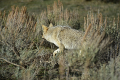 68A0C742-E857-4204-8BF8-13E2851BAC56-scaled