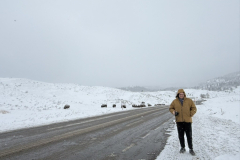 7ECD0A87-9FEC-44AA-85B9-F86F2E7ED71C_1_105_c