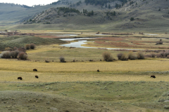 8B6DAEA3-542D-4B4A-A3F0-8A1262D75D0F-scaled