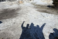 8EE564F8-940F-439F-A83D-0766918A8741_1_105_c