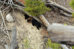 9456C1BE-8D90-443B-AEDA-0DCE2ED387ED-scaled