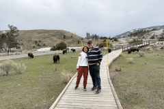 Paul and Huong Mammoth Springs