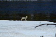 EB0C7853-0BE2-408C-A90F-FA32D216C2E3-scaled