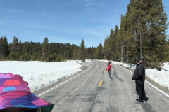 F43A010C-67D5-4369-A297-C6B537C26E77_1_105_c