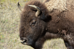 F8EF682E-27EE-4C36-8C91-F69FAC41903B-scaled