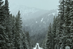 FDE030A1-0DDF-425C-8011-7D3CF08D5279_1_105_c