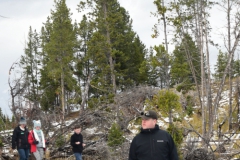 Yellowstone-Fall-2017-15