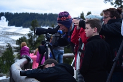 Yellowstone-Fall-2017-26