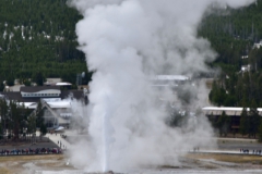 Yellowstone-Fall-2017-85