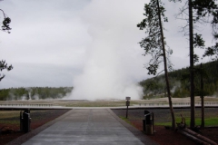 Yellowstone-2008-44