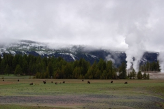 Yellowstone-2008-5