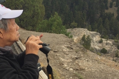 Yellowstone-Summer-2016-10