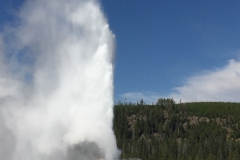 Yellowstone-Summer-2016-24