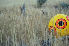 Yellowstone-Summer-2016-43