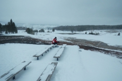 Yellowstone-Winter-2014-17