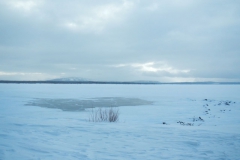Yellowstone-Winter-2014-25