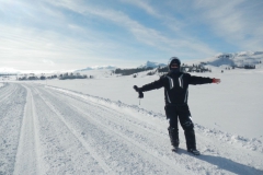 Yellowstone-Winter-2014-45